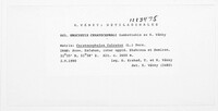 Media resource of Urocystis ceratocephali
